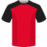 Stade Rennes